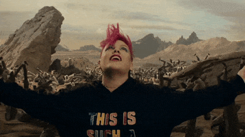 Dave Meyers GIF by P!NK