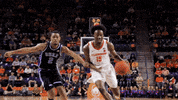 Go Tigers Dunk GIF by Clemson Tigers