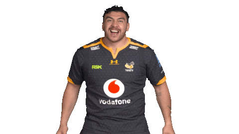 Rugby Sticker by Wasps