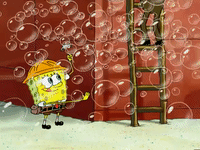season 5 GIF by SpongeBob SquarePants