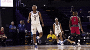 Happy Lets Go GIF by LSU Tigers