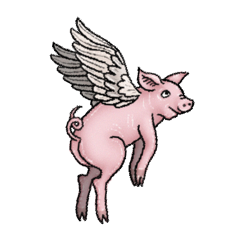 Fly Hover Sticker