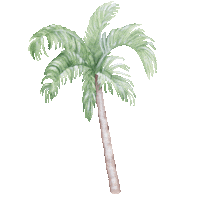Palm Tree Sticker by Little Rae Prints