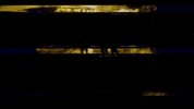 Gilets Jaunes GIF by systaime