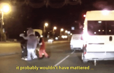VicVik giphygifmaker giphyattribution GIF