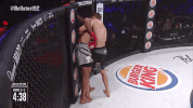 GIF by Bellator