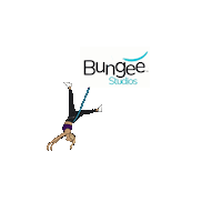 Bungeestudios bungee bungee fitness bungeefitness bungeeworkout Sticker