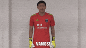 Excited Soccer GIF by San Jose Earthquakes