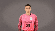 Mens Soccer GIF by Cal State LA Golden Eagles