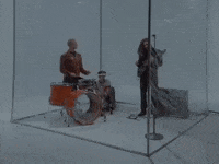 Butterfly Dreamland GIF by COIN