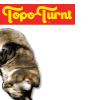 Sparkling Water Topochico Sticker by Topo Turnt