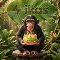 Celebrating Happy Birthday GIF by ikas