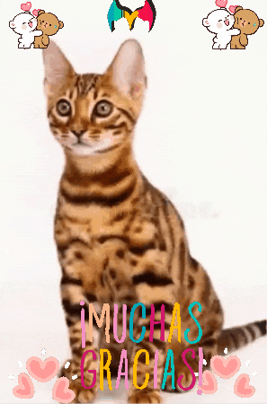 Angel Amigos GIF by Murcianys LLC