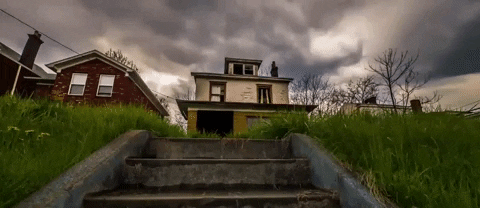 kentucky louisville GIF