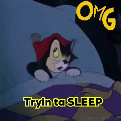 jeremyhyde627ac136f06448b08fd84066bbcb6435 giphyattribution tryin ta sleep GIF