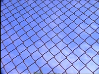 season 3 episode 6 GIF