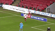 Stevenage_FC  GIF