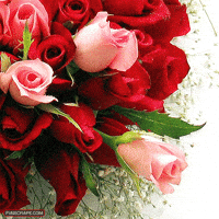 Flowers Roses GIF