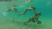 whats count GIF
