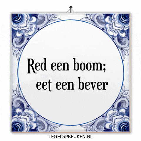 Boom Humor GIF by Tegelspreuken.nl