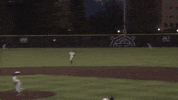 Web Gem GIF by Oregon State Baseball