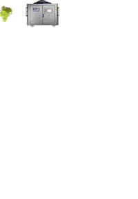 Wine Grape Sticker by Scharfenberger GmbH & Co.KG