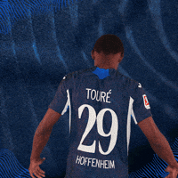Sport Bundesliga GIF by TSG Hoffenheim