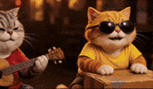 Tabby Cat Concert GIF
