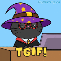 Its Friday Ok GIF by Silly Kitties