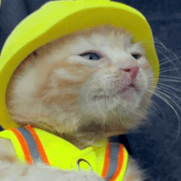 Working Hard Locked In GIF