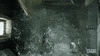 swim swimming GIF by The Crawl Movie
