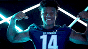 Old Dominion Sport GIF by ODU Football