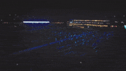 College Sports Stadium GIF by ODU Football