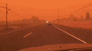 Orange Sky Wildfires GIF by GIPHY News