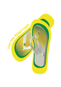 Flip Flop Chinelo Sticker by Havaianas APAC