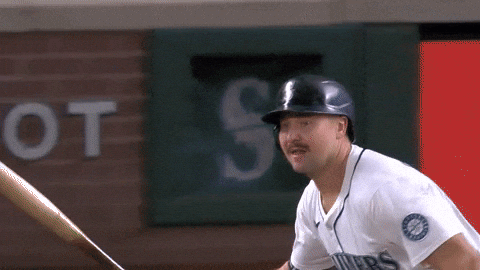 Celebrate Home Run GIF by MLB