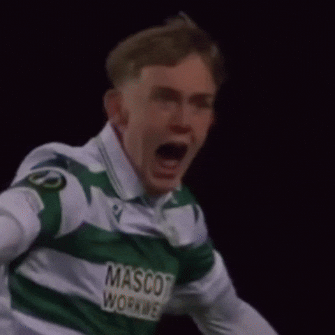 Shamrock Rovers Ireland GIF