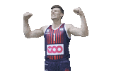 Embl Sticker by EuroMillions Basketball