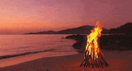 beach sunset GIF by Head Like an Orange