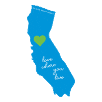 SiliconBeachHomes siliconbeach siliconbeachhomes siliconbeachrealestate siliconbeachexperts Sticker