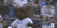 college baseball sport GIF by NCAA Championships