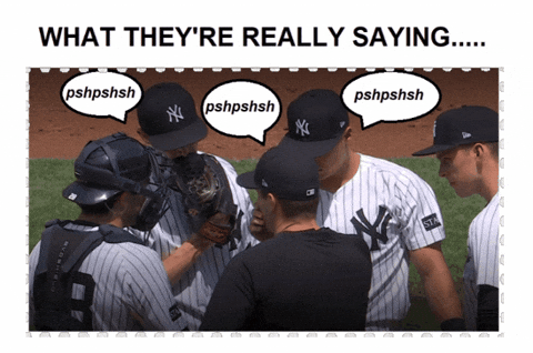 rebjet giphygifmaker giphyattribution baseball mlb GIF
