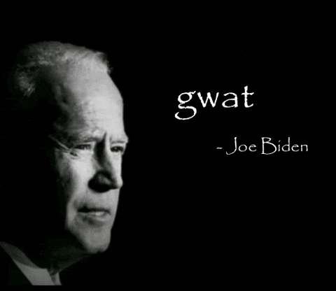 Joe Biden What GIF