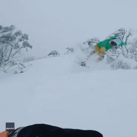 Fresh Powder Snowboarding GIF by Storyful