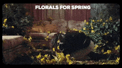 happy flowers GIF by nettwerkmusic