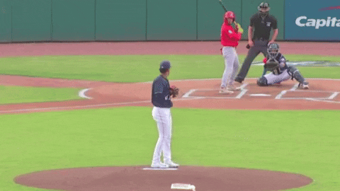 tesstass giphyupload GIF