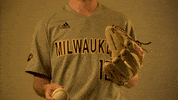 Mke GIF by Milwaukee Panthers