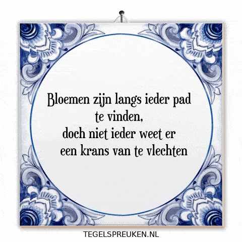 Moment Nl GIF by Tegelspreuken.nl