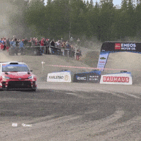 Motorsports Sweden GIF by FIA European Rally Championship