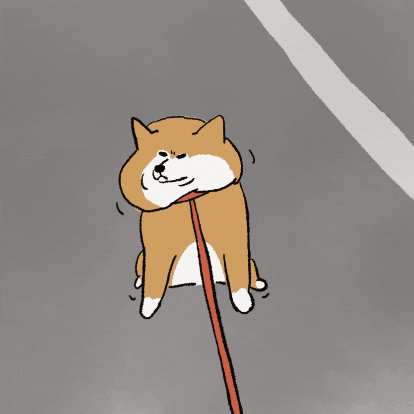 Shiba 柴犬 GIF